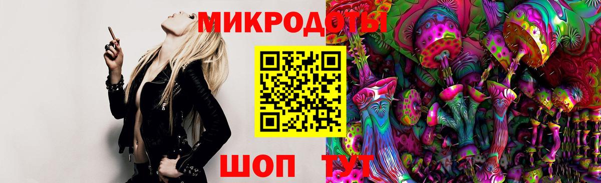 Псилоцибиновые грибы Psilocybe Асбест
